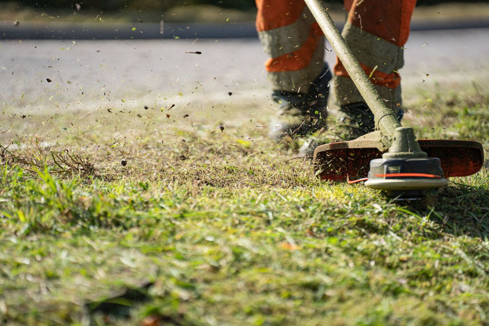 Rasentrimmer schneidet Gras, Schnittgut fliegt